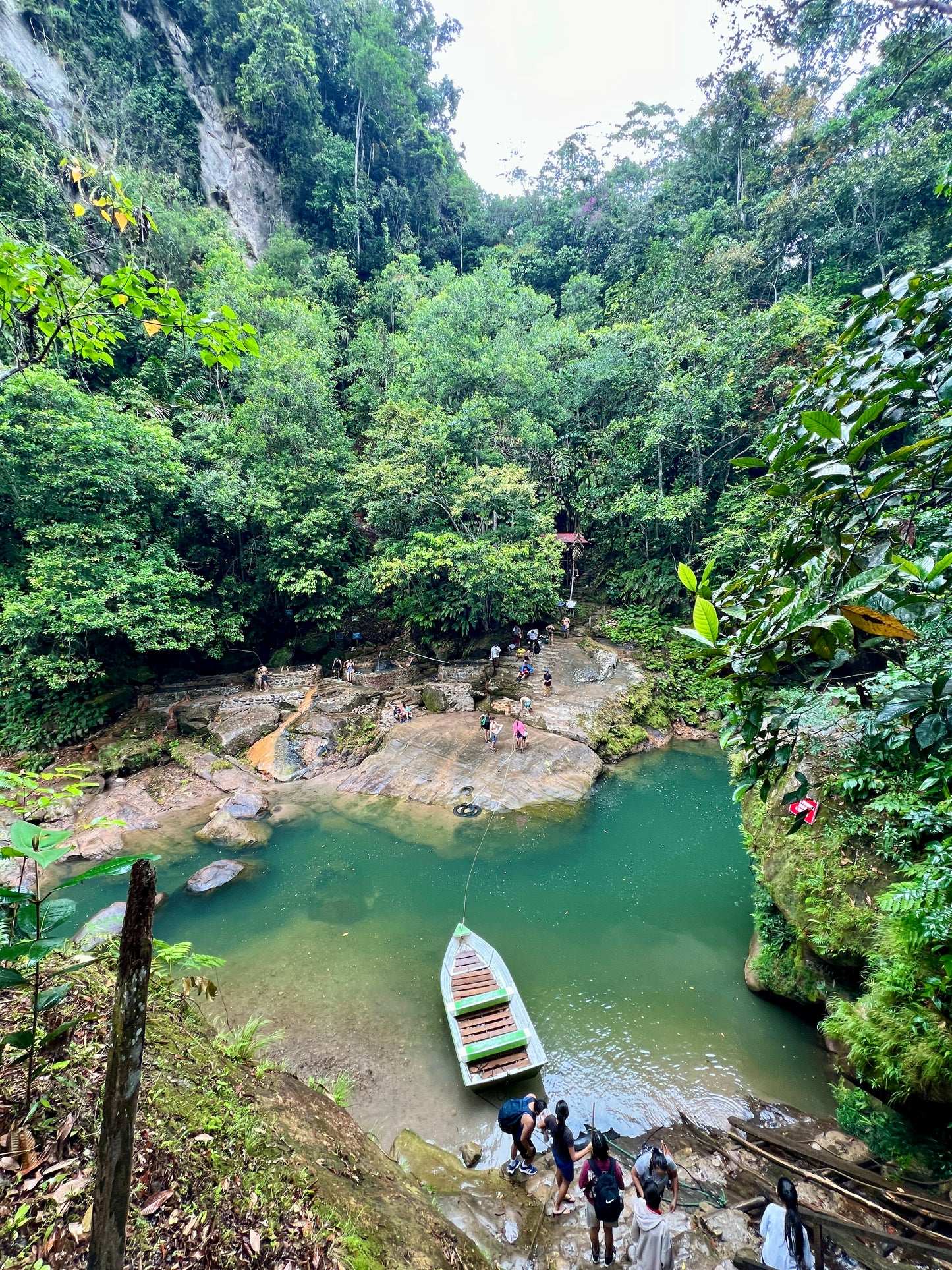 Agua Natural de Coco 🌴🥥